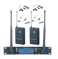 GTD Audio 2x100 Adjustable Frequency Channels UHF Wireless Lav Lapel Microphone DJ Karaoke Mic System 260L (2 Lapel mics)